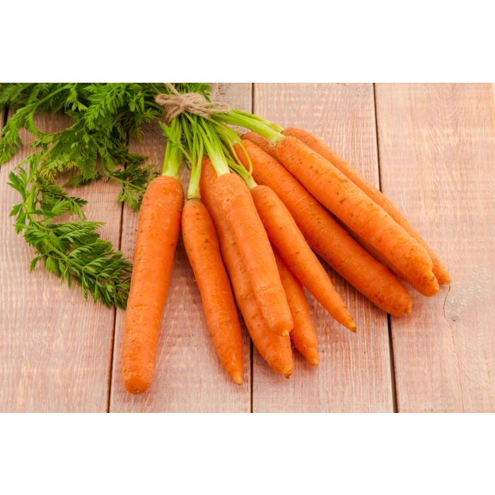 Rohrer Seeds 14-21 1/4 in 1 in Little Finger Carrot Seeds