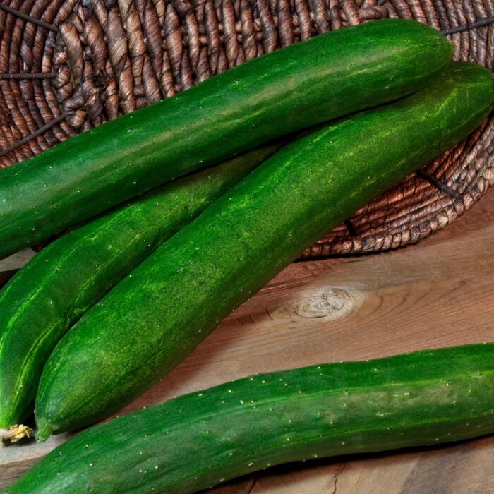 Rohrer Seeds Tasty Green Hybrid Cucumber