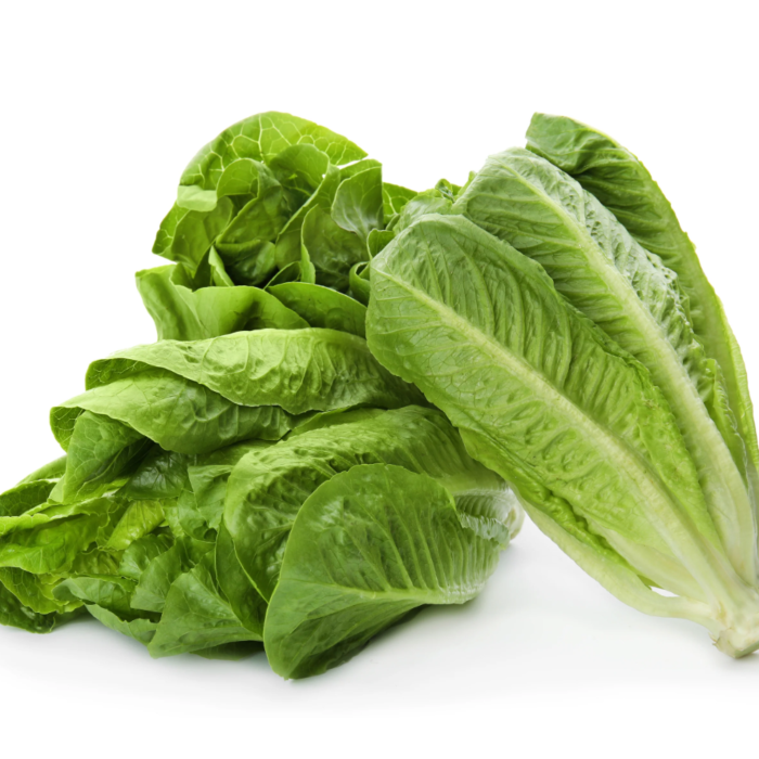 Rohrer Seeds Parris Island Cos Romaine Lettuce Seeds