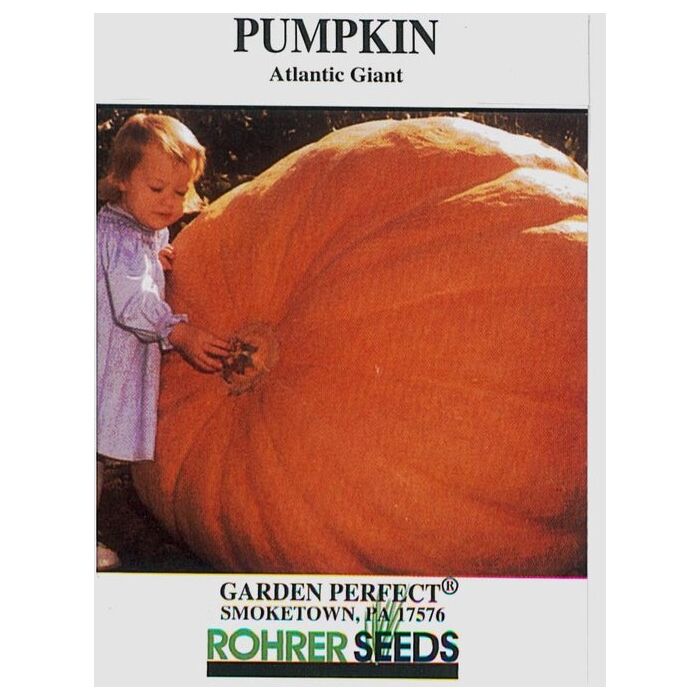 Rohrer Seeds ATLANTIC GIANT PUMPKIN