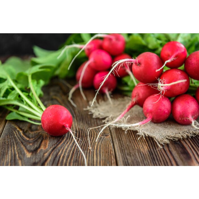Rohrer Seeds 3-10 1/2 in 1 in Cherry Belle Radish Seeds