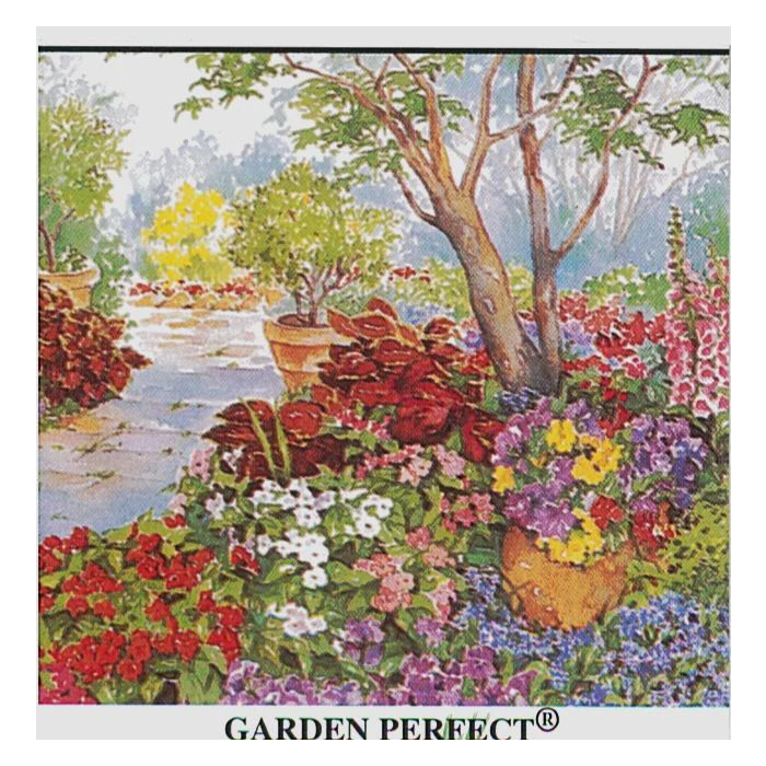 Rohrer Seeds Shade Flower Seed Mix