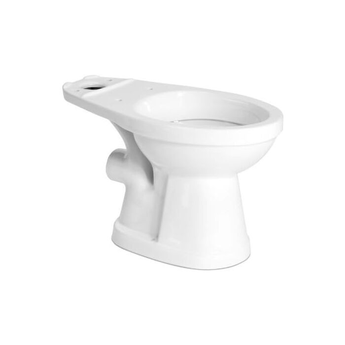 Saniflo 1.28 gal/Flush 3 in Vitreous China 2-Piece Elongated Toilet Bowl