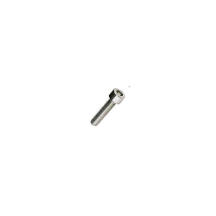 Brighton-Best #6-32 1/2 in 18-8 Stainless Steel Socket Cap Screw