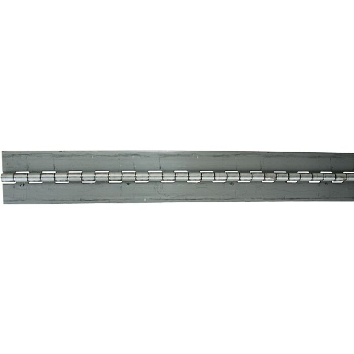 Buyers 3/16 in Weld-On Stainless Steel Continuous Hinge