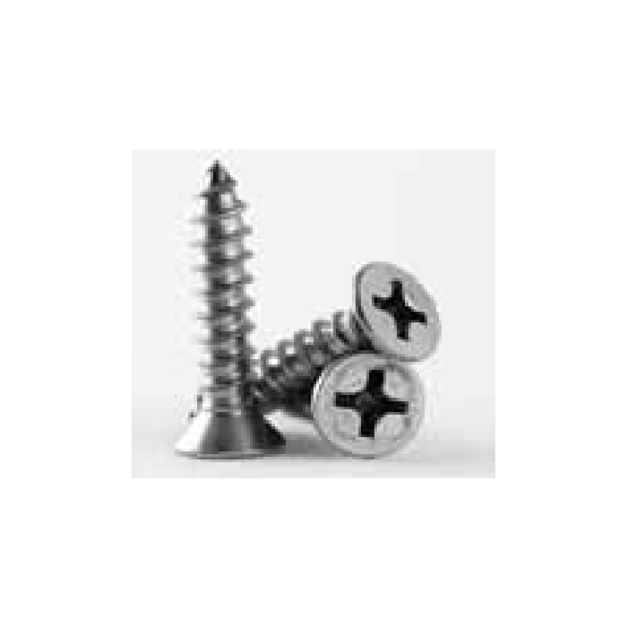 SS Flat Torx Tek Screw - #12 x 2-1/2 in.