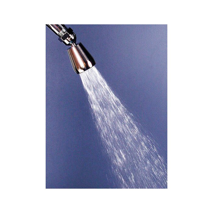 Whedon Products 2 gpm 1/2 in Wall Shower Head