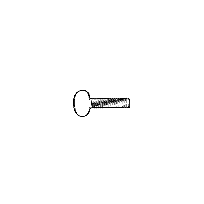 Thumb Screw, Type B, No Shoulder, 1/4-20 Thread, 2" Length, ZINC CR+3