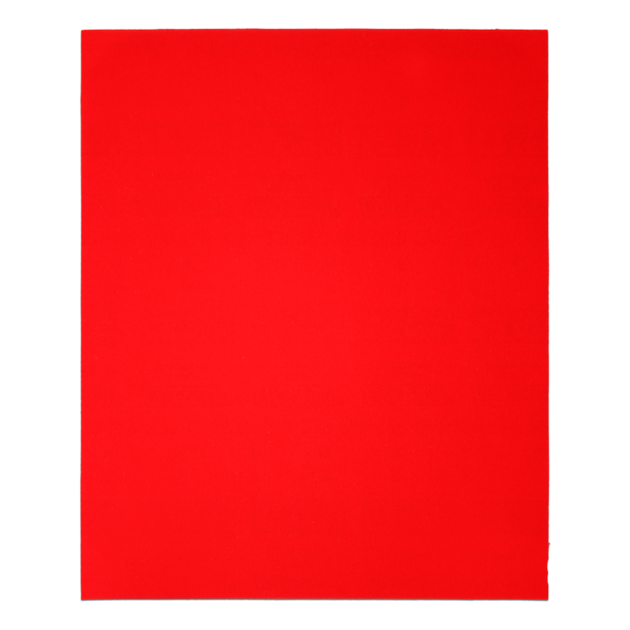 9 in. x 11 in. Sanding Sheets 100 Grit (4-Pack)