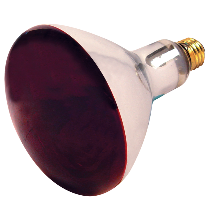 Satco 250 Watt R40 Incandescent - Red Heat - 6000 Average rated hours - Medium base - 120 Volt