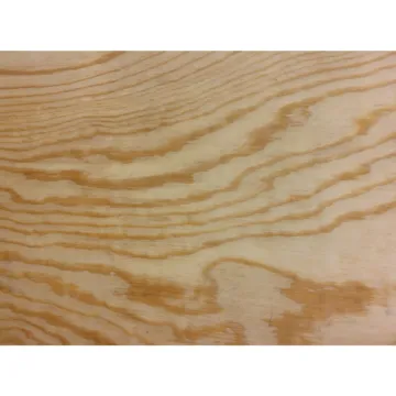 3/8" x 24" x 24" BCX Pine Plywood