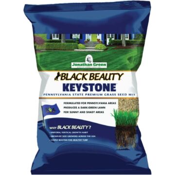 Black Beauty Keystone Grass Seed