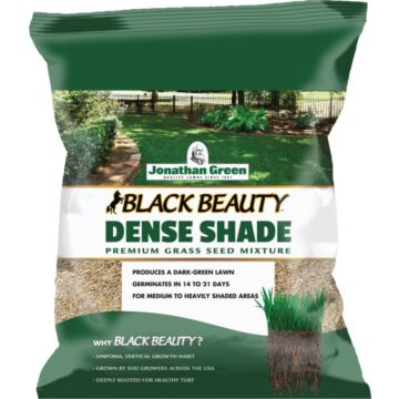 Black Beauty Dense Shade Grass Seed