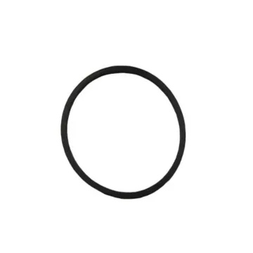 Hypro 1 x 1-1/2 in Size Buna-N Strainer Gasket