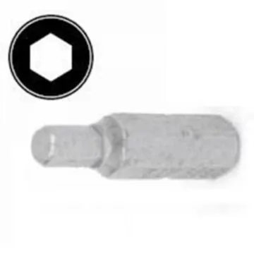 Hex Security Insert Bit