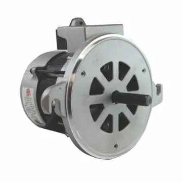 PEMS 115 V 1.7 A 1/7 hp Motor