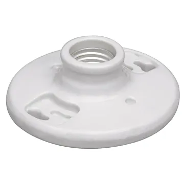 Pass & Seymour Porcelain Medium Base Lampholder 2-Terminal 250V, White