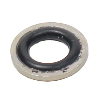 ACE PUMPS 5/16" Impeller Sealing Washer