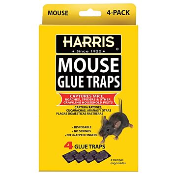 Harris Pre-Baited Mouse Glue Traps (4pk)