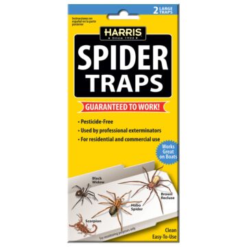 Harris Spider Trap (2pk)