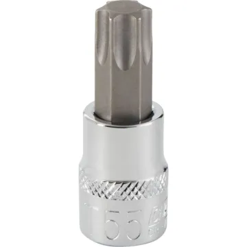 Channellock 3/8 In. Drive T55 6-Point Torx Bit Socket