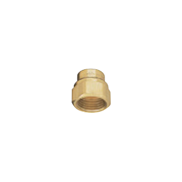 TeeJet Brass Nozzle Body Adapter - 3/8 in. FNPT