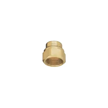 TeeJet Brass Nozzle Body Adapter - 3/8 in. FNPT