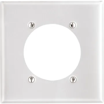 Scott Electric 2-Gang Standard Size Wallplate (Chrome)