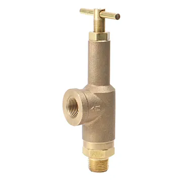 TeeJet 1/2 in MNPT Connection Type 700 psi Pressure Relief Valve
