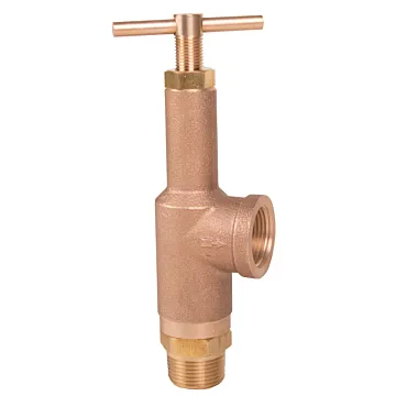 TeeJet 3/4 in MNPT Connection Type 0 - 300 psi Pressure Relief Valve