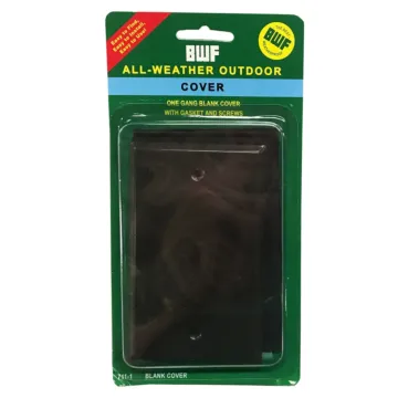 Brnz Blank Cover 2X4 2-Screw W/P