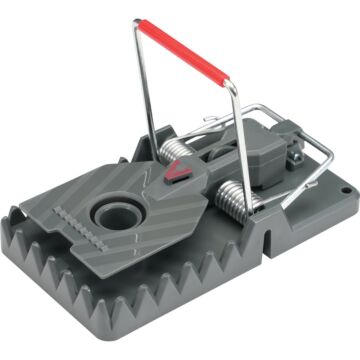 Victor Power-Kill Trap Display