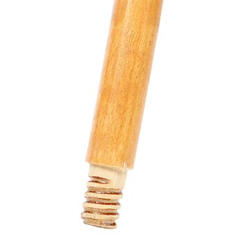 Magnolia Brush 120 in Long 1-1/8 in Plain Wood Handle with Tapered Tip