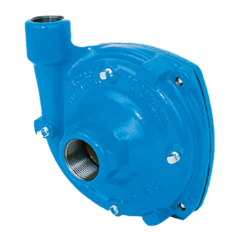 Pentair 1-1/4" NPT Suction x 1" NPT Discharge Pedestal Centrifugal Pump, 5/8" Round Shaft