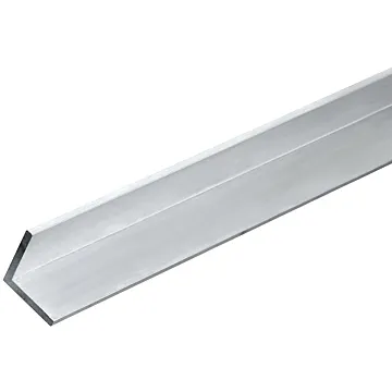 Angle 1" x 1/8" 4' Stainless Stl
