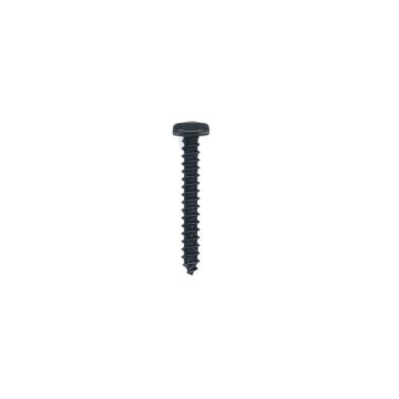 ACORN Pyramid Head Wood Screw (Black) 1-1/4 in. x 8
