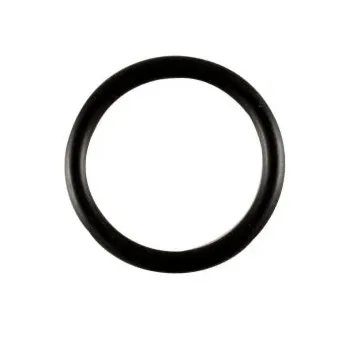 AR Black O-Ring