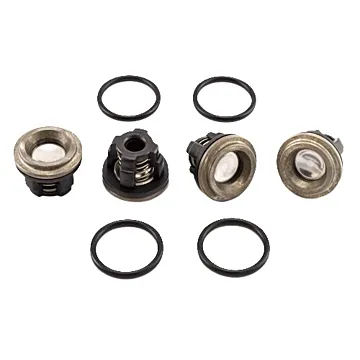 Valve Kit (D30)