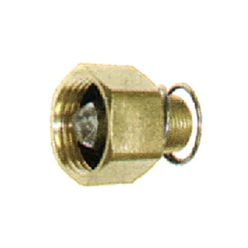 . 3/4 in Pressure Washer Pump Inlet