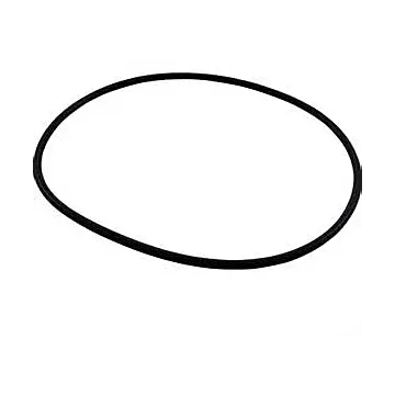 ACE PUMPS Volute O-Ring