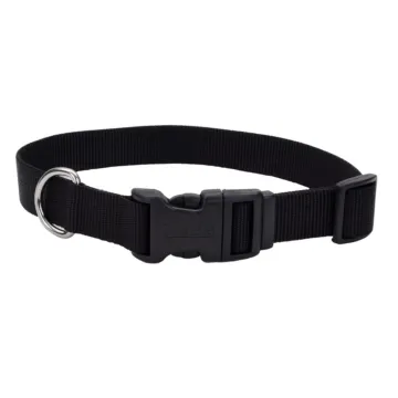 Coastal Pet Medium 14-20 in 3/4 in Adjustable Dog Collar