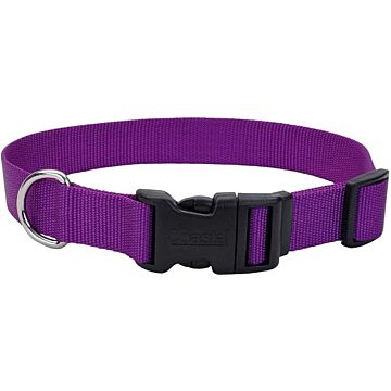 Coastal Pet Dog Collar 3/4"x 14-20" Purple