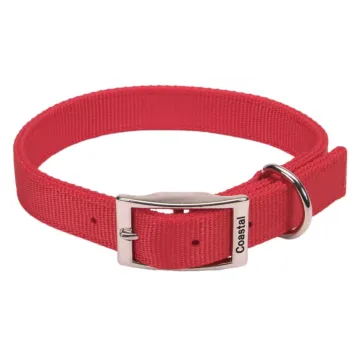 Coastal Pet Medium 20 in 1 in Dog Collar