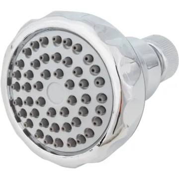 Wheldon Blaster 2.5 GPM 48-Jet Fixed Shower Head, Chrome