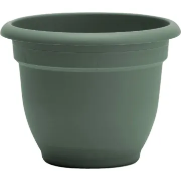 Bloem Ariana Self-Watering Plastic Planter (Basil Green) 10 in.