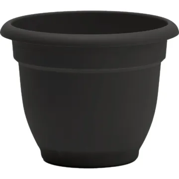 Bloem Ariana Self-Watering Plastic Planter (Black) 10 in.
