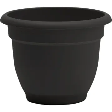 Bloem Ariana Self-Watering Plastic Planter (Black) 12 in.