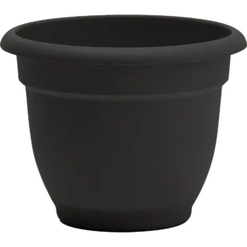 Bloem Ariana Self-Watering Plastic Planter (Black) 6 in.