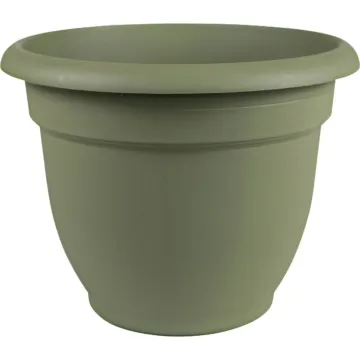 Bloem Ariana Self-Watering Plastic Planter (Thyme Green) 6 in.