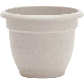 Bloem Ariana Self-Watering Plastic Planter (Vanilla White) 6 in.